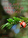 PLANT MOLECULAR BIOLOGY封面